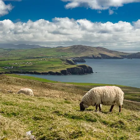 Farm - The Parlour By Trident Homes Holiday home Ventry